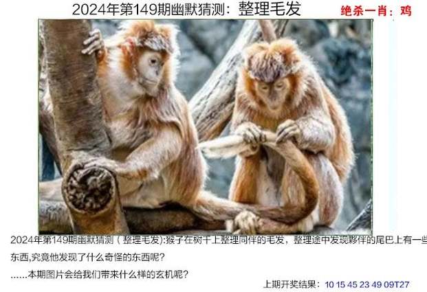 今日科普一下！澳门最精准澳门天天彩,百科词条爱好_2024最新更新